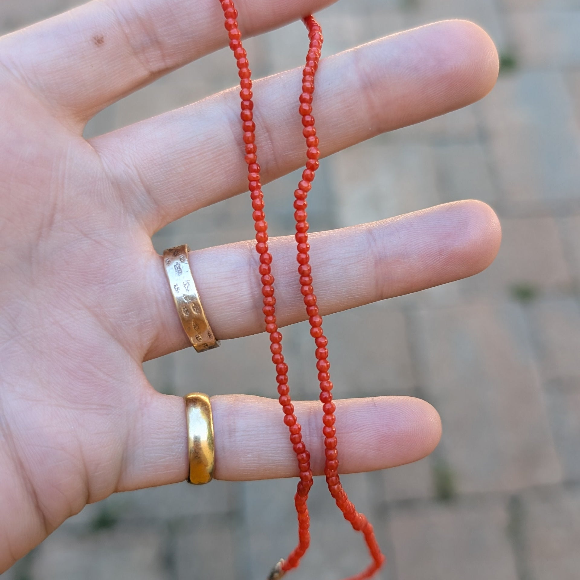 Hand holding a red string of coral on a blurred background