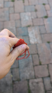 Entire Group of Coral Necklaces