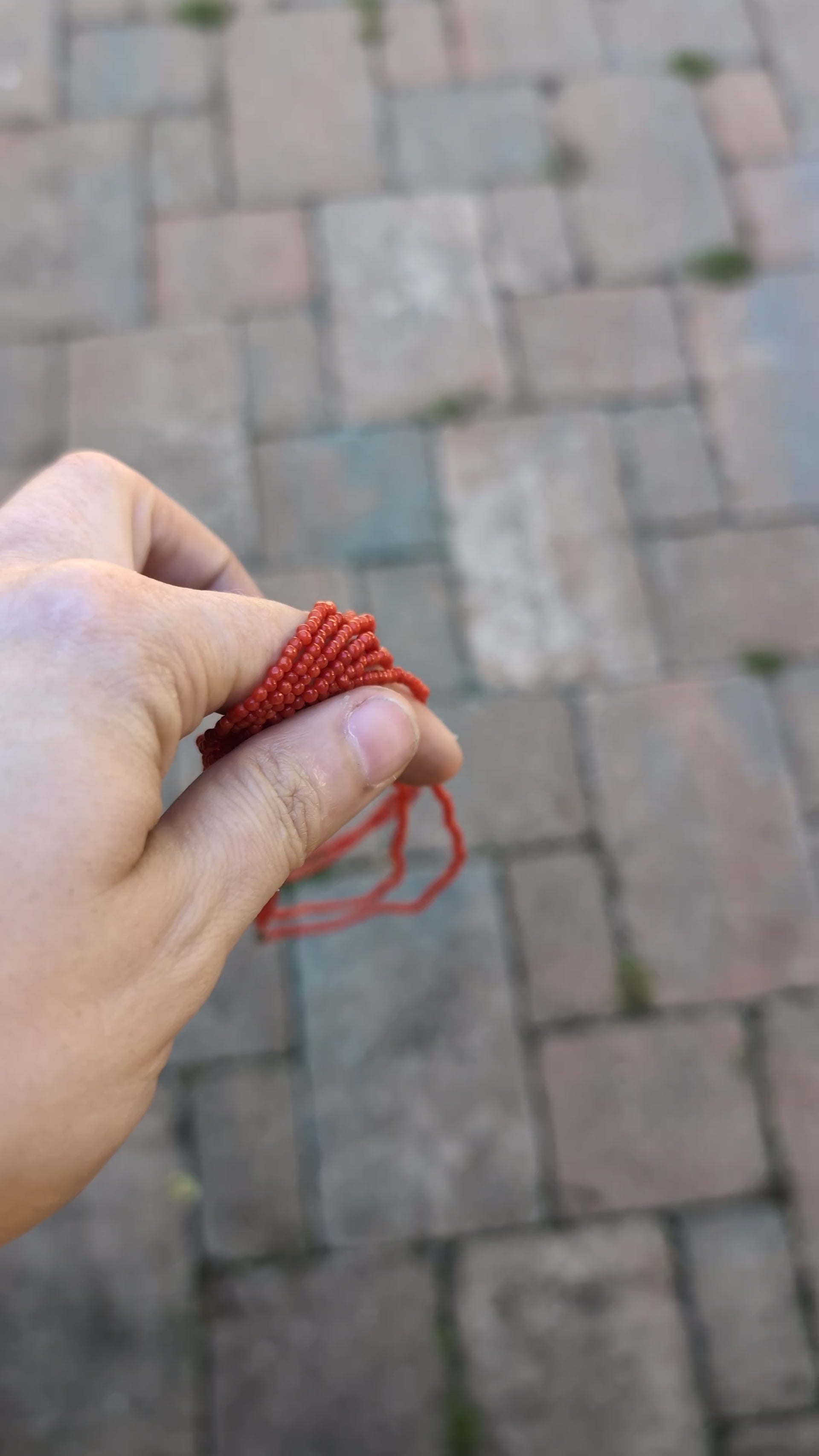 Entire Group of Coral Necklaces